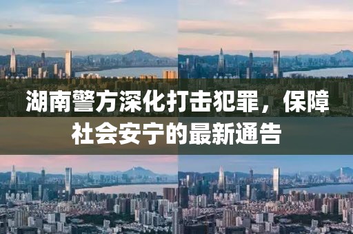 湖南警方深化打击犯罪，保障社会安宁的最新通告