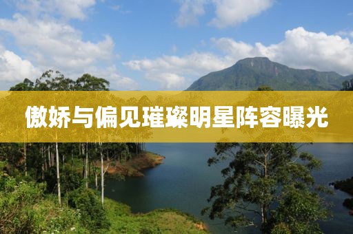傲娇与偏见璀璨明星阵容曝光