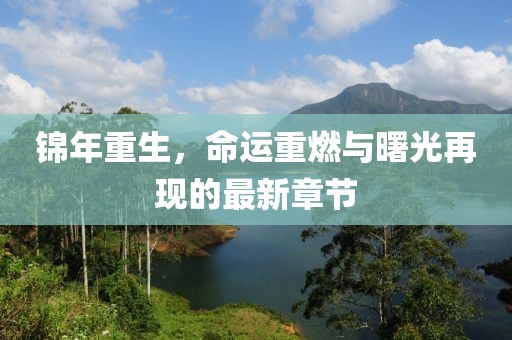 锦年重生，命运重燃与曙光再现的最新章节
