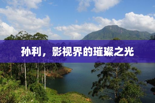 孙利，影视界的璀璨之光