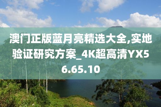 澳门正版蓝月亮精选大全,实地验证研究方案_4K超高清YX56.65.10