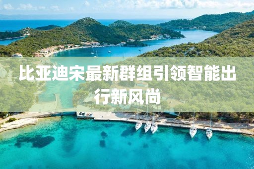 比亚迪宋最新群组引领智能出行新风尚