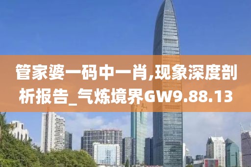 管家婆一码中一肖,现象深度剖析报告_气炼境界GW9.88.13