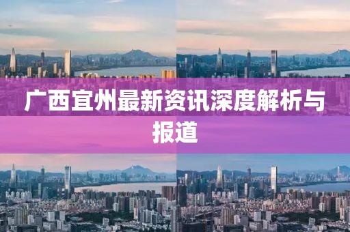 广西宜州最新资讯深度解析与报道