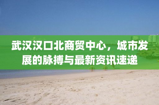 武汉汉口北商贸中心，城市发展的脉搏与最新资讯速递