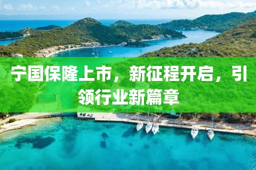 宁国保隆上市，新征程开启，引领行业新篇章