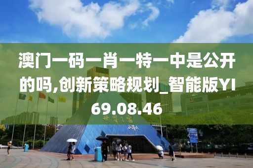 澳门一码一肖一特一中是公开的吗,创新策略规划_智能版YI69.08.46