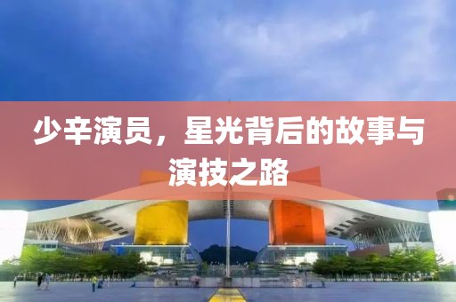 少辛演员，星光背后的故事与演技之路