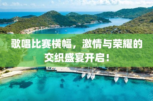 歌唱比赛横幅，激情与荣耀的交织盛宴开启！