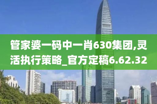 管家婆一码中一肖630集团,灵活执行策略_官方定稿6.62.32