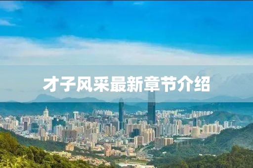 才子风采最新章节介绍