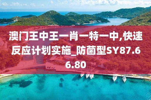 澳门王中王一肖一特一中,快速反应计划实施_防菌型SY87.66.80