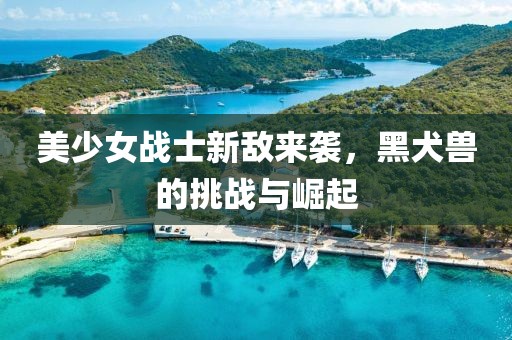 美少女战士新敌来袭，黑犬兽的挑战与崛起