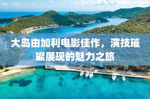 大岛由加利电影佳作，演技璀璨展现的魅力之旅