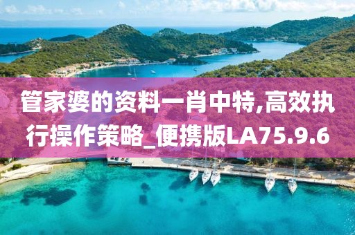 管家婆的资料一肖中特,高效执行操作策略_便携版LA75.9.6