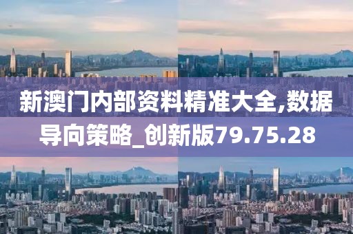 新澳门内部资料精准大全,数据导向策略_创新版79.75.28