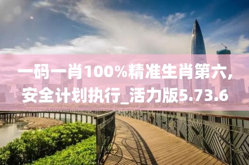 一码一肖100%精准生肖第六,安全计划执行_活力版5.73.6