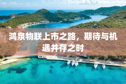 鸿泉物联上市之路，期待与机遇并存之时