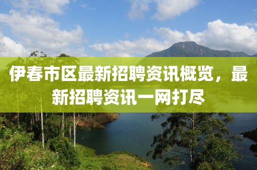 伊春市区最新招聘资讯概览，最新招聘资讯一网打尽