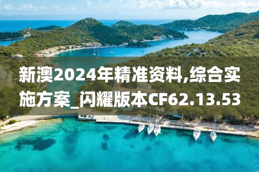 新澳2024年精准资料,综合实施方案_闪耀版本CF62.13.53