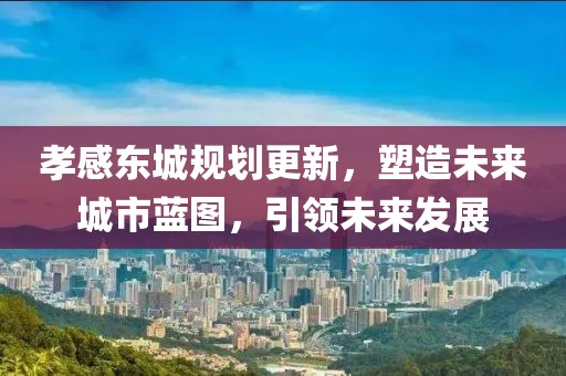 孝感东城规划更新，塑造未来城市蓝图，引领未来发展