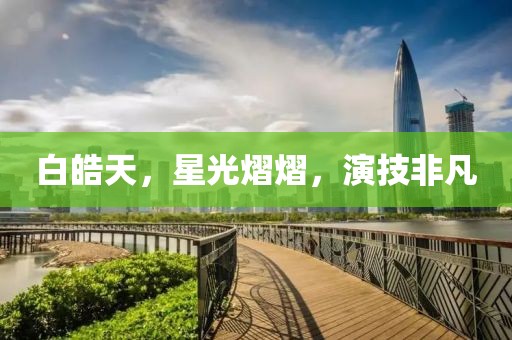白皓天，星光熠熠，演技非凡