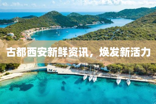 古都西安新鲜资讯，焕发新活力