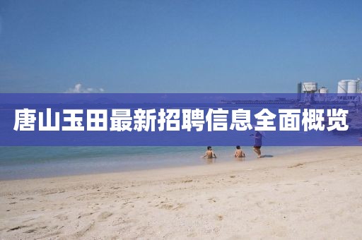 唐山玉田最新招聘信息全面概览