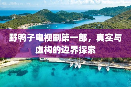 野鸭子电视剧第一部，真实与虚构的边界探索