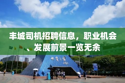 丰城司机招聘信息，职业机会、发展前景一览无余