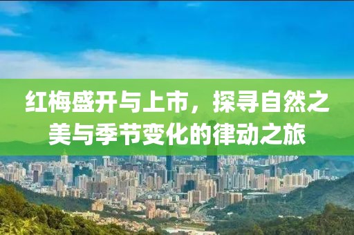 红梅盛开与上市，探寻自然之美与季节变化的律动之旅