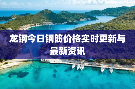龙钢今日钢筋价格实时更新与最新资讯