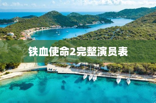 铁血使命2完整演员表