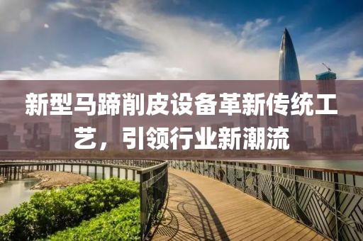 新型马蹄削皮设备革新传统工艺，引领行业新潮流