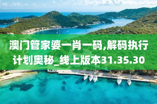 澳门管家婆一肖一码,解码执行计划奥秘_线上版本31.35.30
