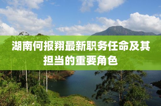 湖南何报翔最新职务任命及其担当的重要角色