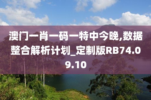 澳门一肖一码一特中今晚,数据整合解析计划_定制版RB74.09.10