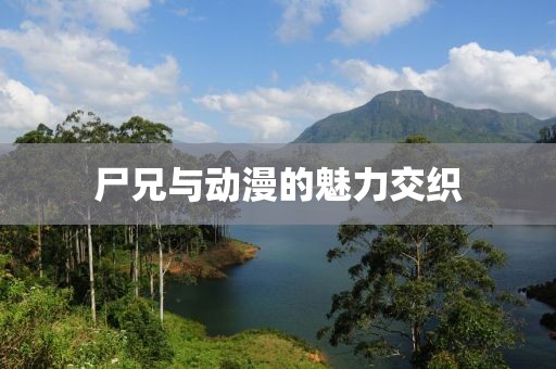 尸兄与动漫的魅力交织