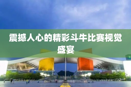 震撼人心的精彩斗牛比赛视觉盛宴