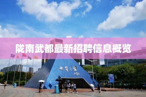 陇南武都最新招聘信息概览