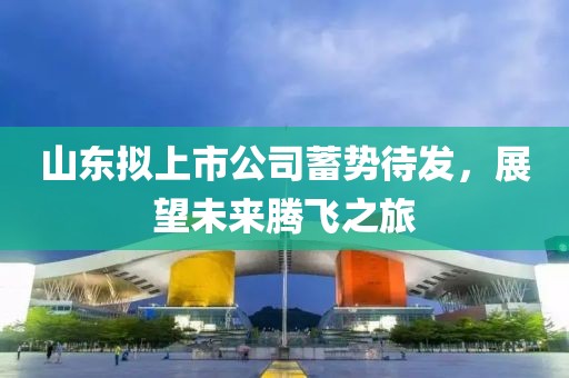 山东拟上市公司蓄势待发，展望未来腾飞之旅