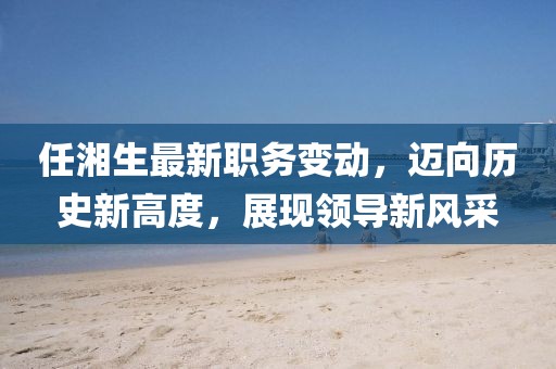 任湘生最新职务变动，迈向历史新高度，展现领导新风采