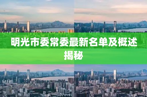 明光市委常委最新名单及概述揭秘