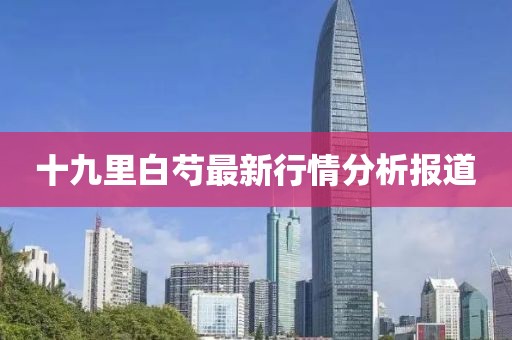 十九里白芍最新行情分析报道