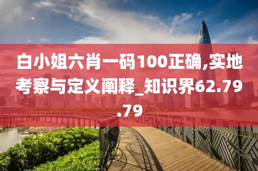 白小姐六肖一码100正确,实地考察与定义阐释_知识界62.79.79