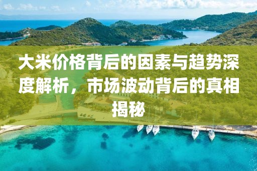 大米价格背后的因素与趋势深度解析，市场波动背后的真相揭秘