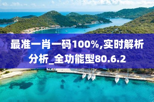 最准一肖一码100%,实时解析分析_全功能型80.6.2