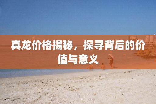 真龙价格揭秘，探寻背后的价值与意义