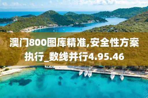 澳门800图库精准,安全性方案执行_数线并行4.95.46