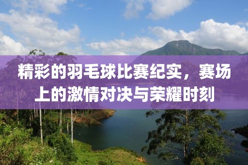 精彩的羽毛球比赛纪实，赛场上的激情对决与荣耀时刻